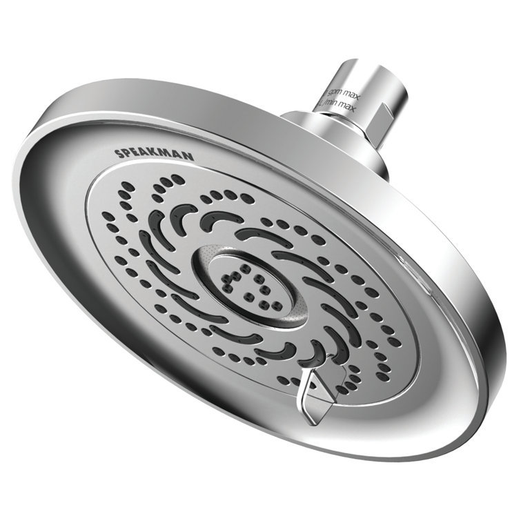 Speakman Shower Head Review The Last Witch Hunter